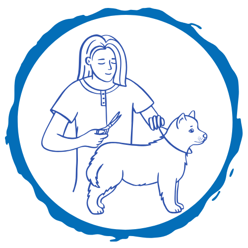 Pflege von Hunden