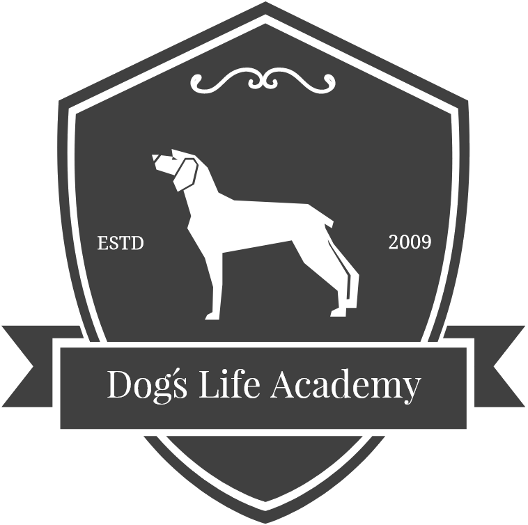 Dogs Life Academy