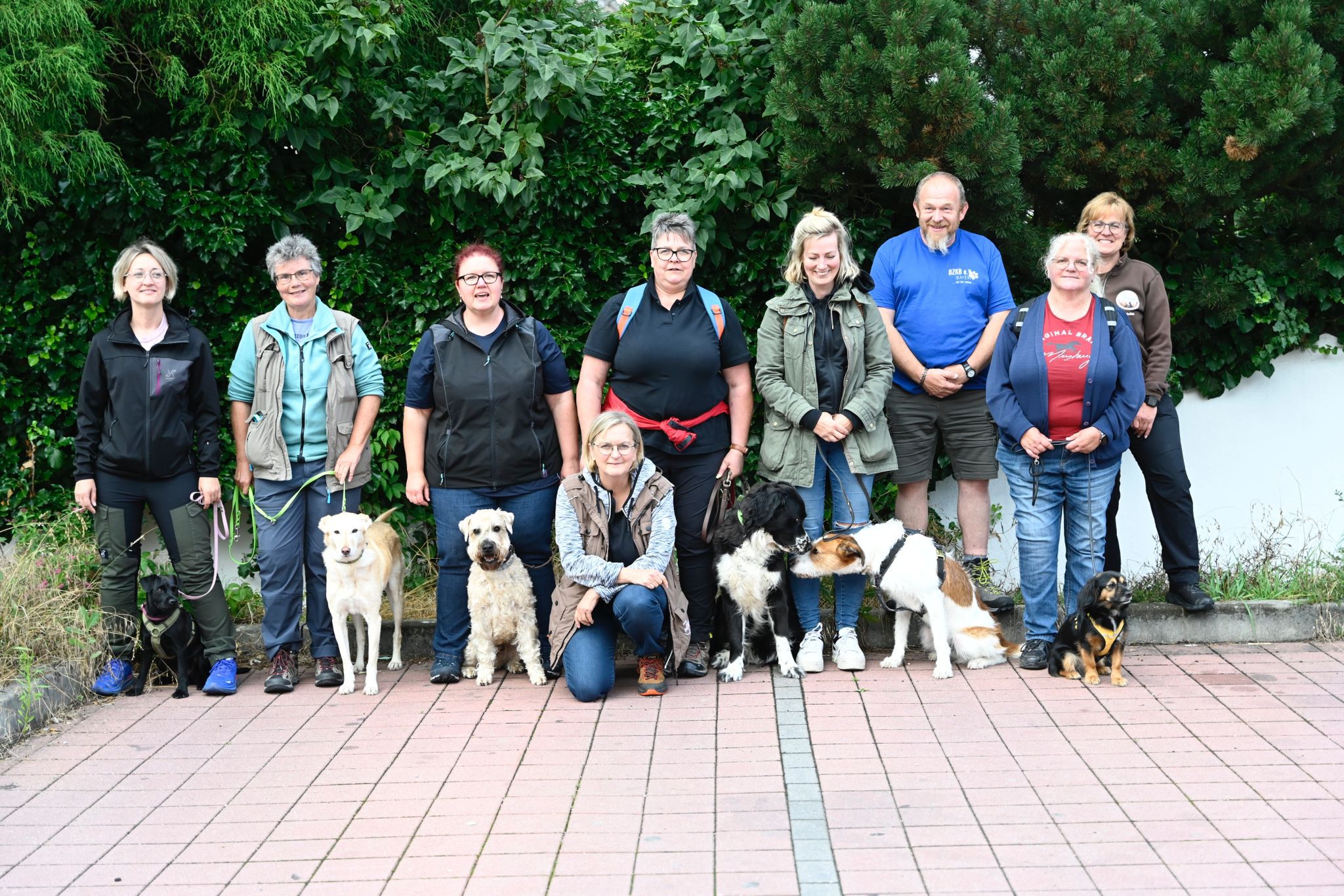 Hundeführerscheinprüfung in der Baier Hundeschule