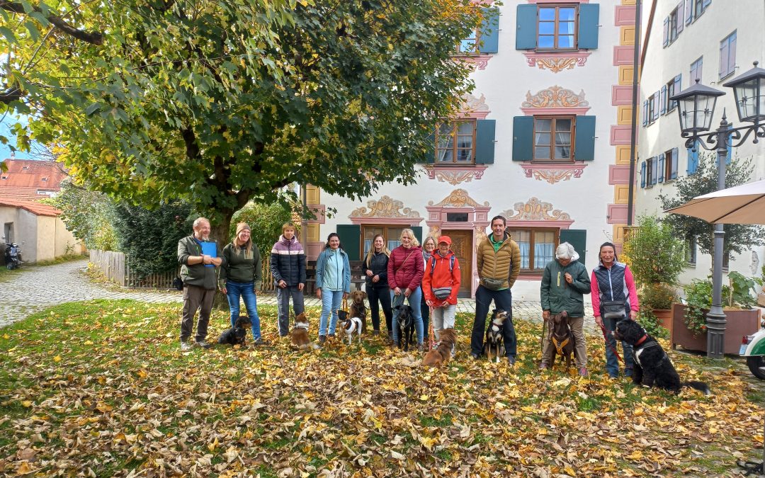 Allgäu bei Füssen –  Doppelprüfung des DZKB Bayern Hundeführerschein