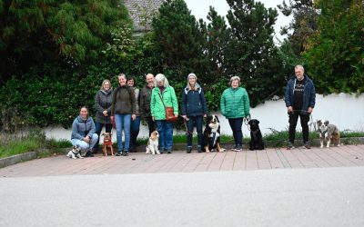 DZKB Hundeführerschein in Langquaid 27.10.2024