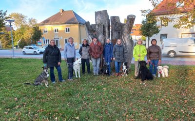DZKB Bayern Hundeführerschein Prüfung bei der Hundeschule einHUNDert% in Rottenburg