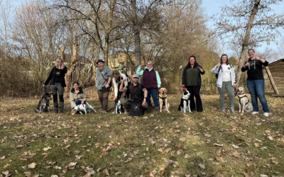 DZKB Hundeführerschein in Neustadt an der Waldnaab